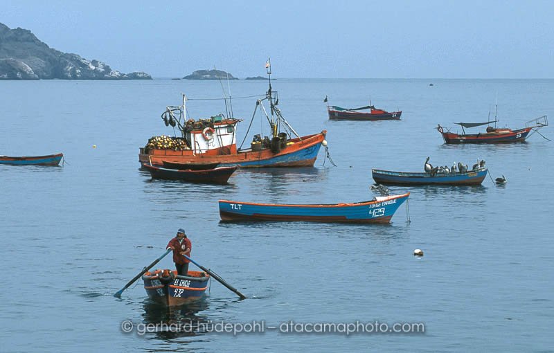 Preview taltal-fishing-boats.jpg