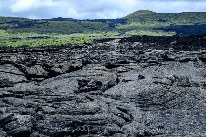 Preview _Y8A1506.jpg