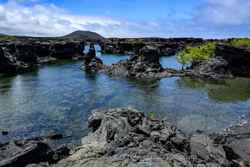 Preview _Y8A1518.jpg