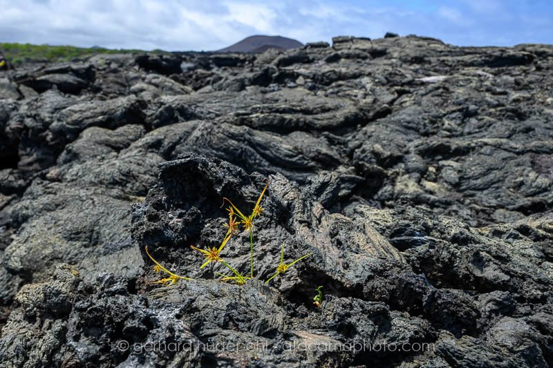 Preview _Y8A1523.jpg