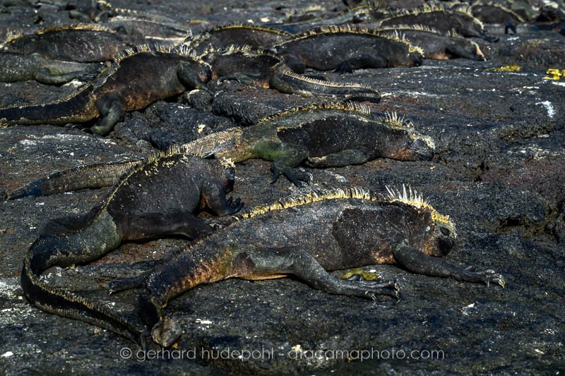 Preview _Y8A2166.jpg