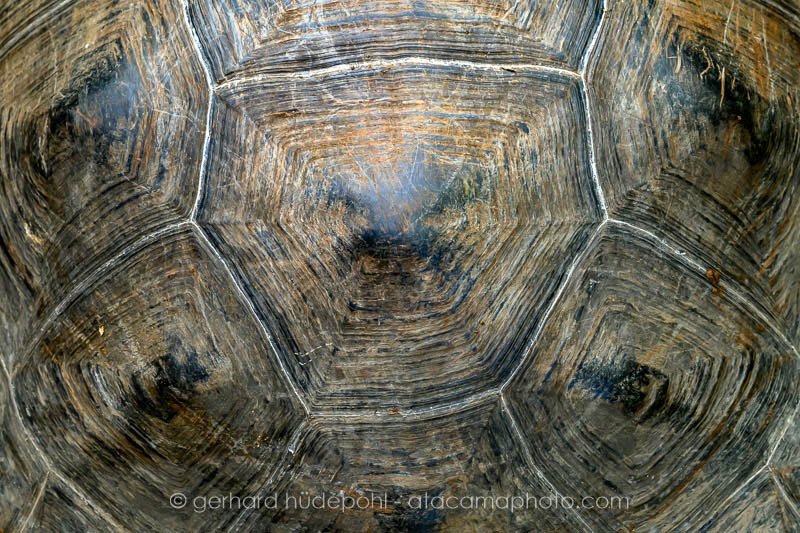 Preview _Y8A2399.jpg