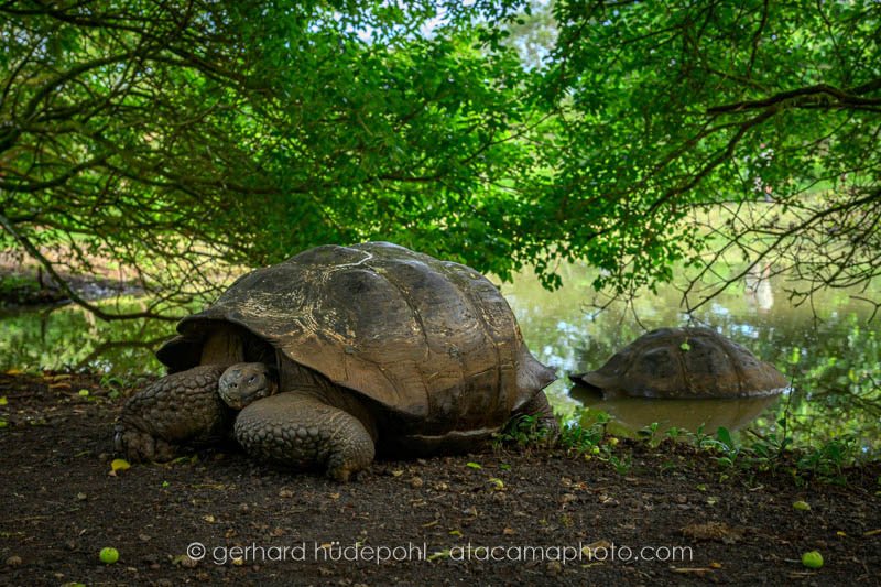 Preview _Y8A2979.jpg