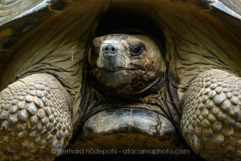 Preview _Z8E8298.jpg