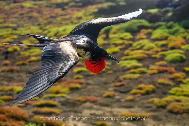 Preview _Z8F6429.jpg