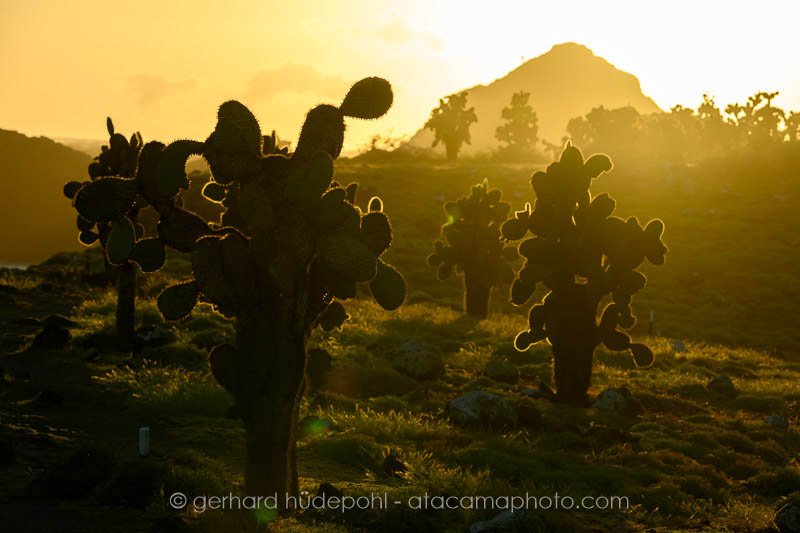 Preview _Z8F8346.jpg