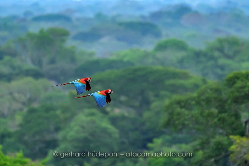 Preview Z8C_9872.jpg