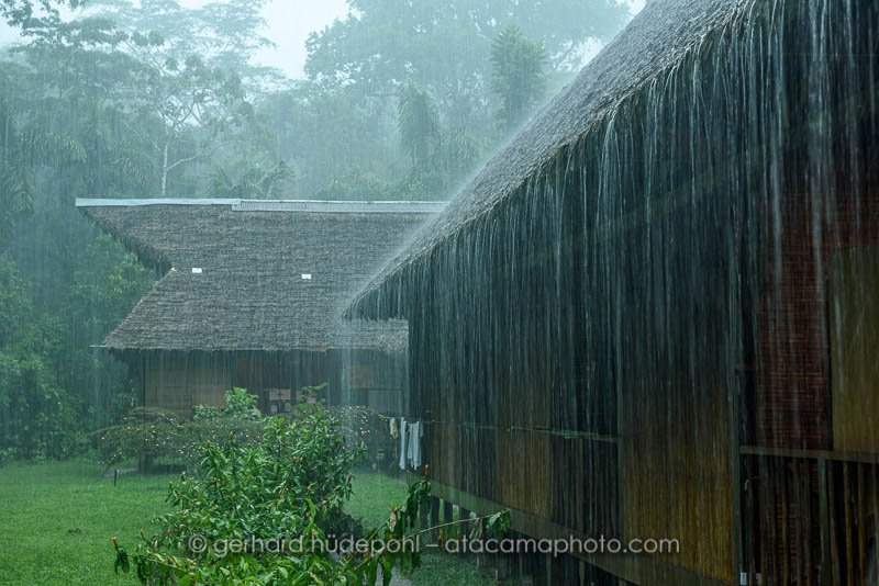 heavy rainfall in rainforest