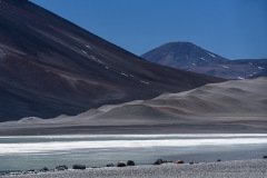 Like another planet: Laguna del Jilguero in the Chilean Altiplano
