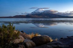 Parinacota volcano reflecting in Lago Chungara, Altiplano of Chile