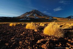 Volcano Miniques with Puna grass, Paja brava. Altiplano of Chile