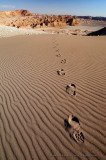 Human foot prints in the desert sand ripples of Valle de la Luna, Atacama desert Chile