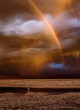 Magic evening light with flamingo and rainbow at Salar de Atacama