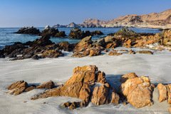 Beautiful wild rocky coast of the Atacama desert in the Antofagasta Region of Chile