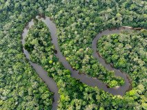 Meandering Mambili river in the rainforest of Congo as seen from the air