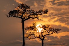 Sunset at Lango Bai in Odzala National Park, Congo