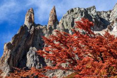 The colors of autumn. Red Lenga leaves in front of impressive rock castles.