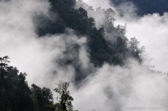 Dramatic clouds over the Patagonian rainforest of Cochamo Valley, Chile