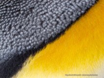 Detail of colorful king penguin feather design with yellow and gray feathers, South Georgia Island