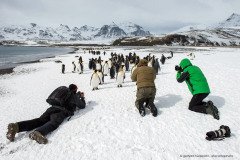 Photographers in close encounter with king penguins, South Georgia Island