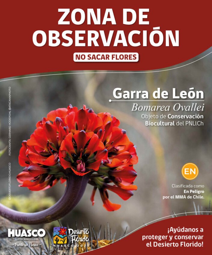 Sign about Garra de Leon in the Huasco community, Atacama