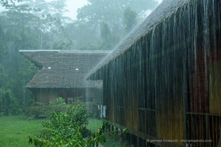 Heavy tropical rain hitting the palm leaf roofs of Tambopata Research Center
