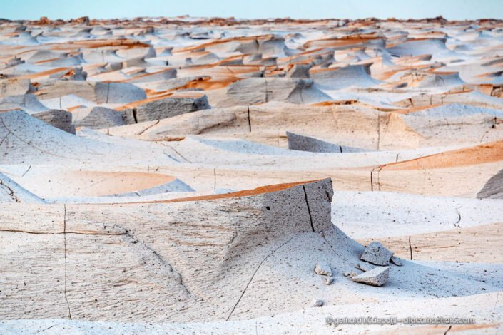 Pumice rock sculptured by wind erosion. Campo de Pedra Pomez, Catamarca Argentina