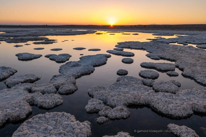 Sunset at gypsum crystal lagoon of Puquios de Salar de Llamara, Iquique, Atacama
