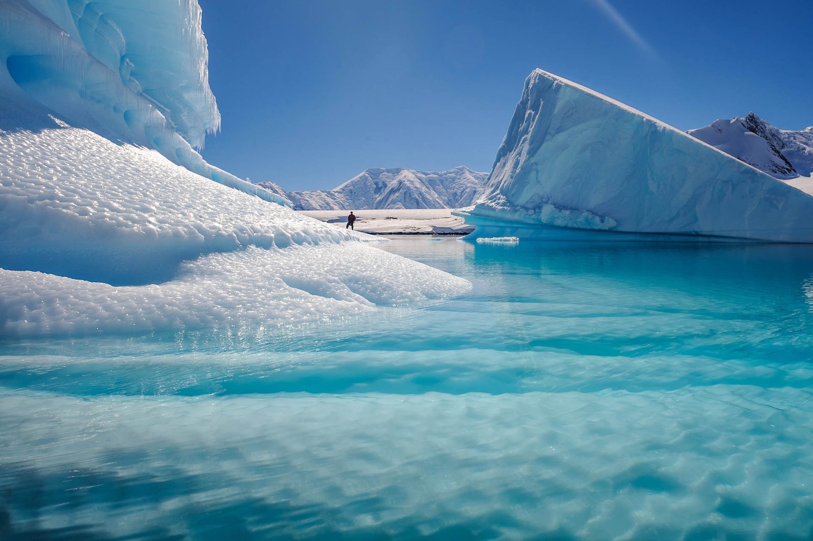 A person is standing between giant icebergs in Antarctica in crystal clear blue water