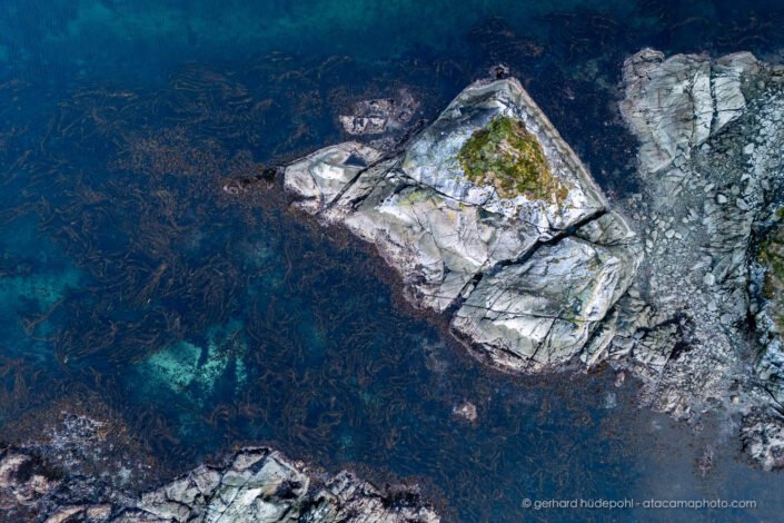Coastal rock formation with kelp, Beagle Channel