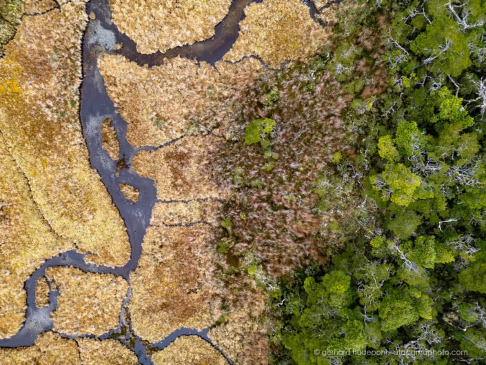 Small creek is winding through peat bog, Patagonia