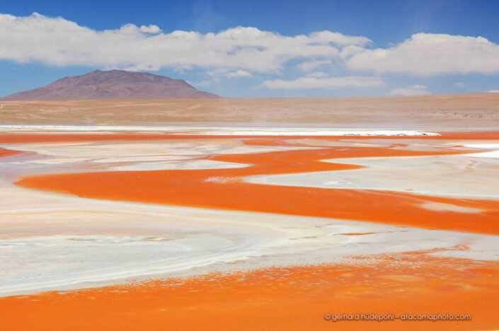 Laguna Colorada, Altiplano of Bolivia