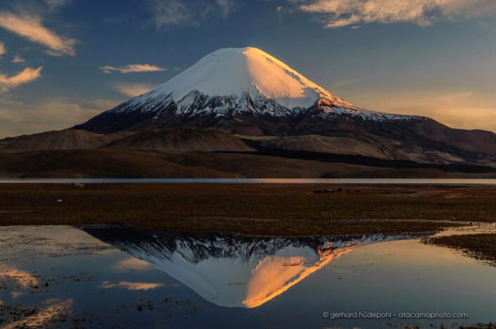 Volcano Parinacota at sunset, reflection in Lago Chungara