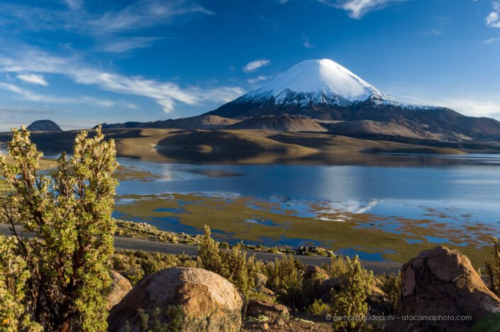Lago Chungara and Parinacota volcano, Lauca National Park