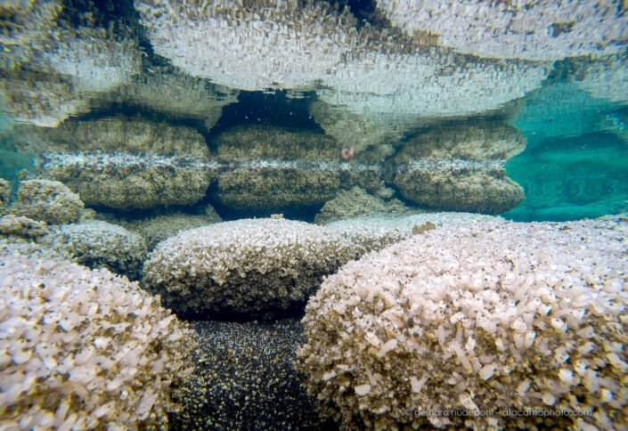 Underwater photo of the crystal structures of the Salar Llamara lagoon Puquios de Llamara