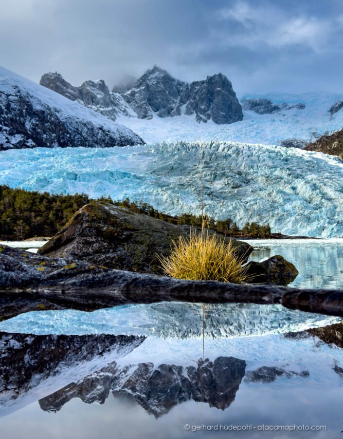Glacier Kalv reflection, Pia fjord - Patagonia