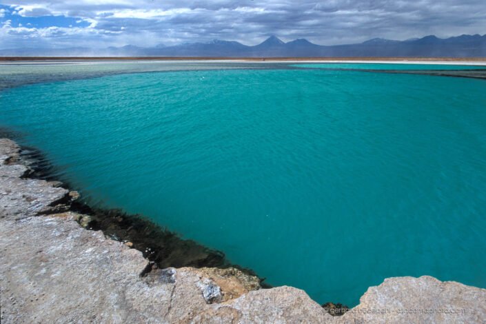 Lagunas Cejas or Cejar, Salar de Atacama