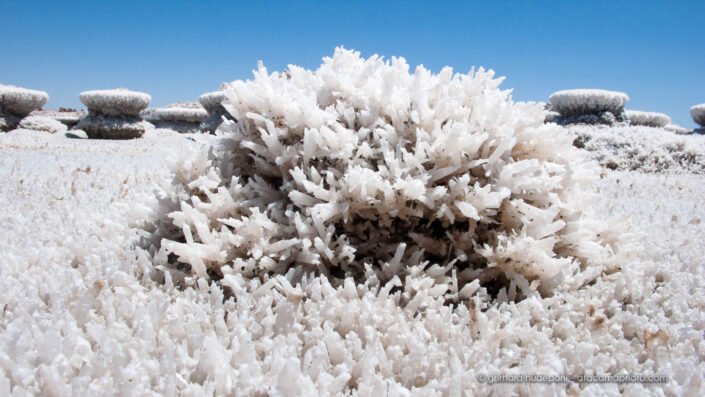 Salar de Llamara gypsum crystals after lagoon was illegally pumped dry by road construction company.