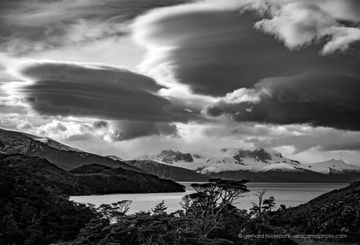Lenticular clouds above an island in the Beagle Channel
