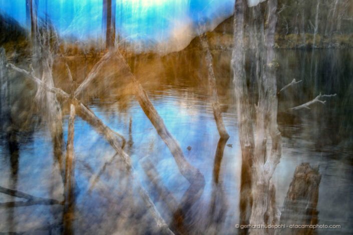 Beaver dam in Patagonia, ICM