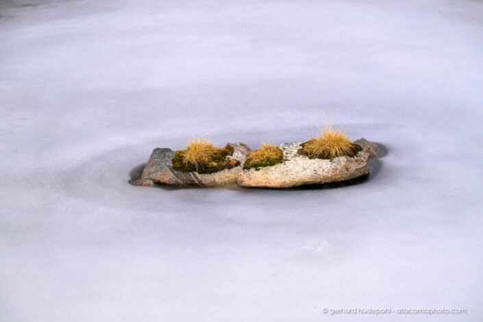 Mini Japanese garden in a frozen lagoon, Pia fjord Patagonia