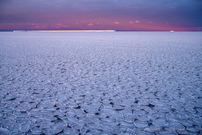 Ross Sea covered with pancake ice and tabular iceberg in magic sunset light
