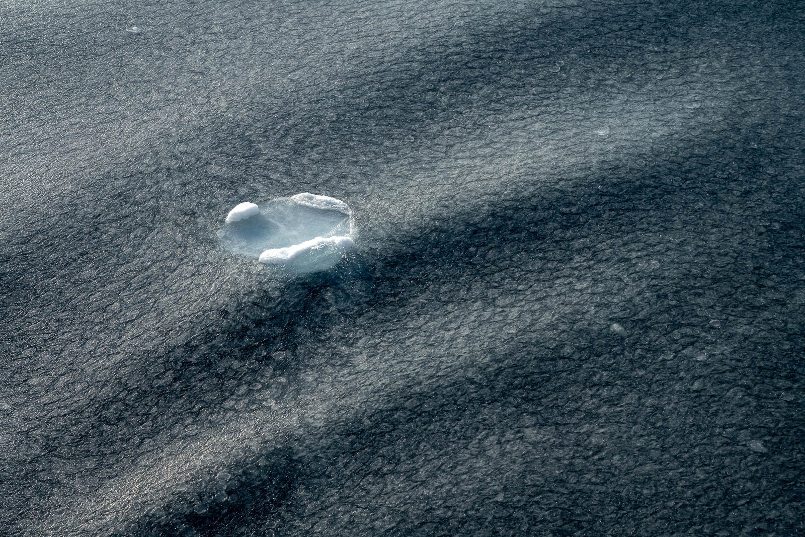 Three types of ice in the freezing ocean of Antarctica: grease ice, small pancake and one large pan cake ice