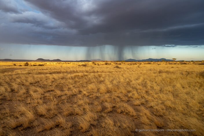 The rain is arriving, Samburu Reserve Kenya