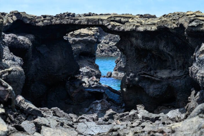Marchena Island is dominated by black lava formations, Galapagos