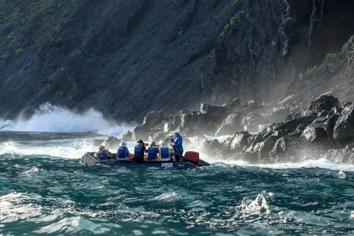 Rough zodiac cruise along the volcanic coast of Isabela Island