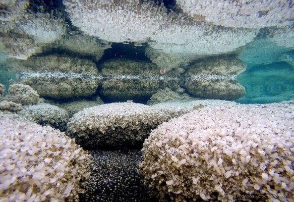 Underwater photo of the crystal structures of the Salar Llamara lagoon