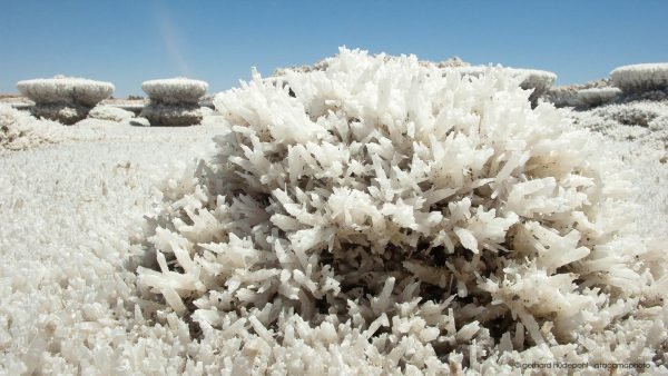 Gypsum crystals in Salar de Llamara