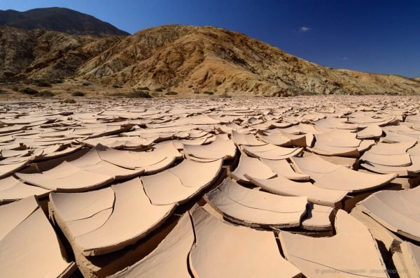 Mudcracks in a dry riverbed, Pan de Azucar National Park. Only about once every decade water runs here for a short period of time.