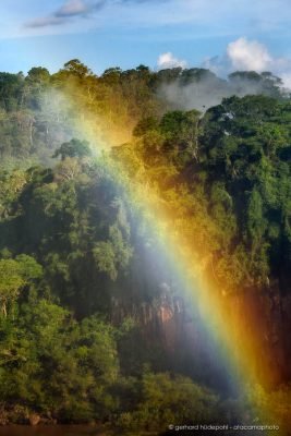 Rainbow in front of the jungle, produced by the Iguazu waterfalls